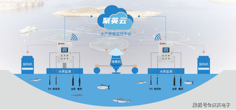 水产养殖管理系统：助力现代科技赋能农业