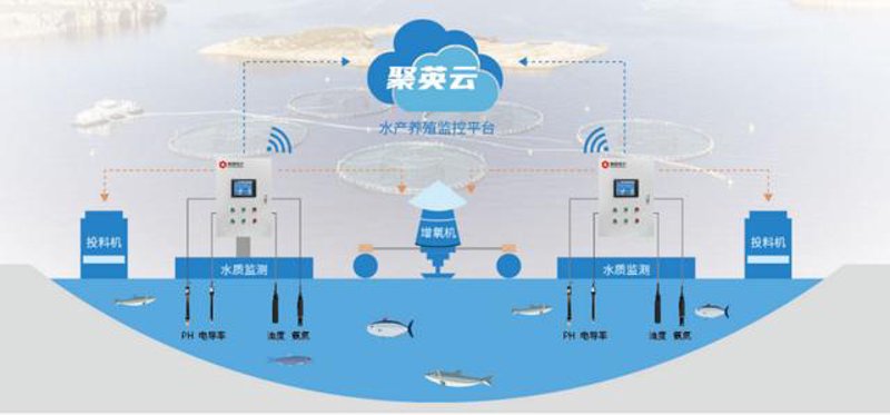 水产养殖行业的智慧革命:管理系统革新探索