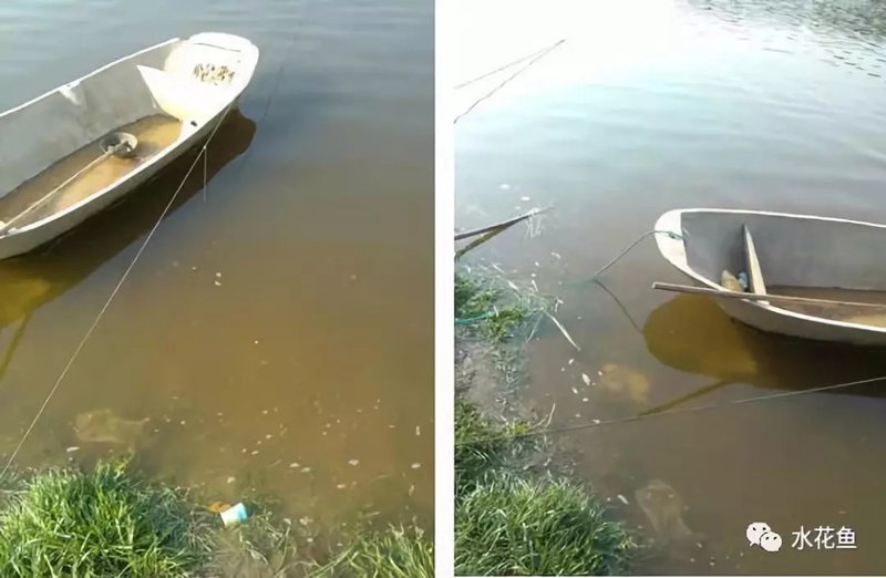 水质在线监测系统：提升环保效率的利器